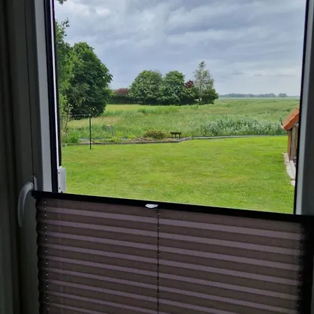 Balzereit *