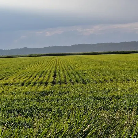 アパート Balzereit